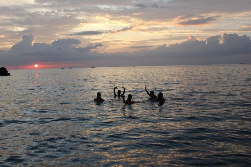 Ko Phi Phi Don: Speedboat Day Trip With Shark Snorkeling - Key Highlights of the Itinerary