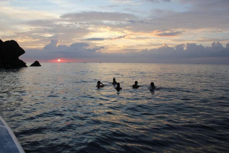 Ko Phi Phi Don: Speedboat Day Trip With Shark Snorkeling - Viking Cave: Snorkeling and Shark Viewing