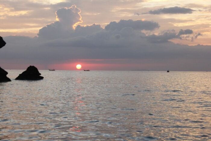 Ko Phi Phi Don: Speedboat Day Trip With Shark Snorkeling - Frequently Asked Questions