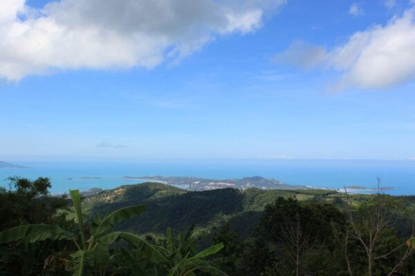Ko Samui: 4WD Wild Jungle Safari Tour With Lunch - Questions You May Have