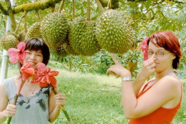 Ko Samui: 4WD Wild Jungle Safari Tour With Lunch - Additional Information