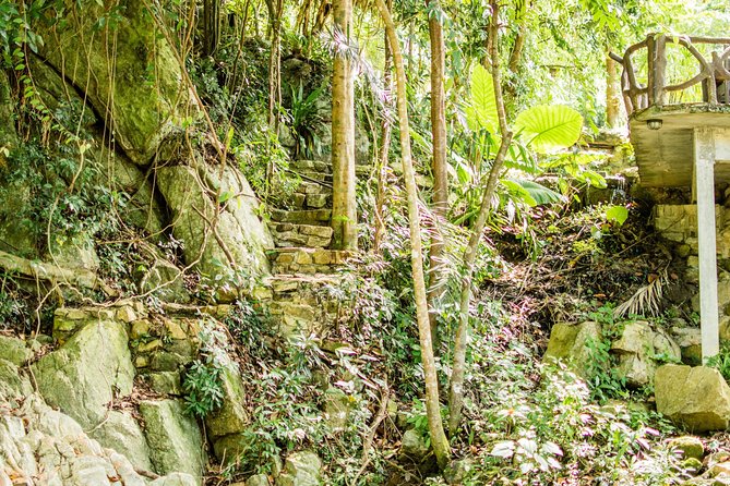 Ko Samui Island Full-Day Cultural Experience With Pickup - Customer Reviews