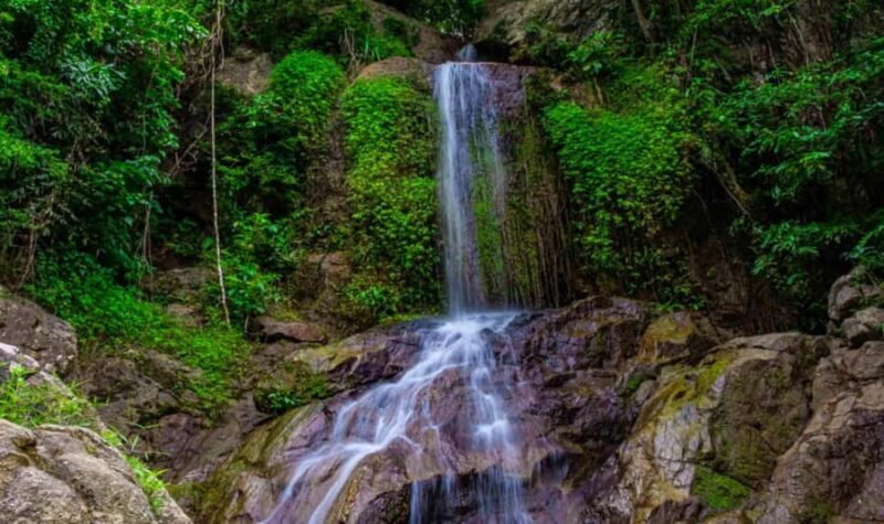 Ko Samui: Jungle Zipline & Waterfall Adventure with Drink - Discovering the Jungle Zipline & Waterfall Adventure in Koh Samui