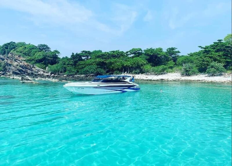 Ko Samui: Pig Island Snorkeling and Koh Tan Speedboat Tour - What to consider before booking