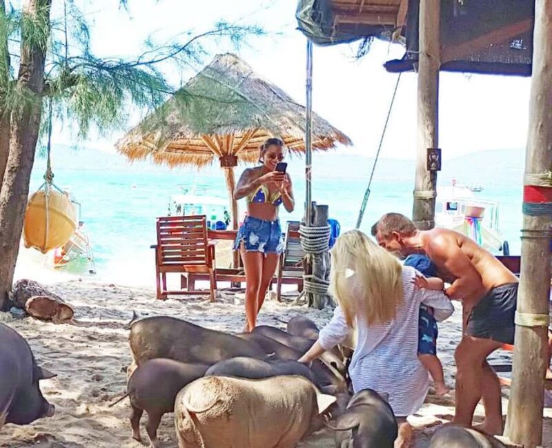 Ko Samui: Pig Island Snorkeling and Koh Tan Speedboat Tour - FAQs