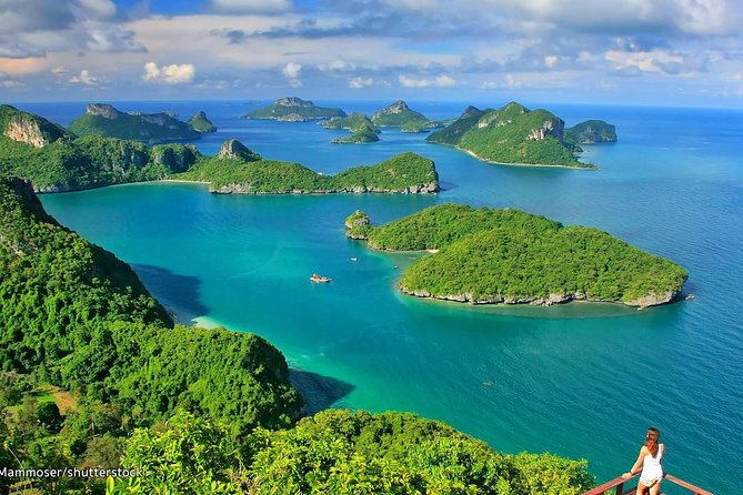 Ko Samui : Sky Fox Cable Ride in the Jungle - Tips for a Memorable Cable Ride Experience