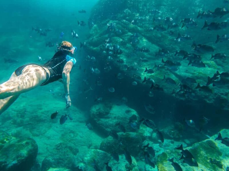 Ko Samui: Unique Ko Tao & Ko Nang Yuan Snorkeling Day Trip - Good To Know
