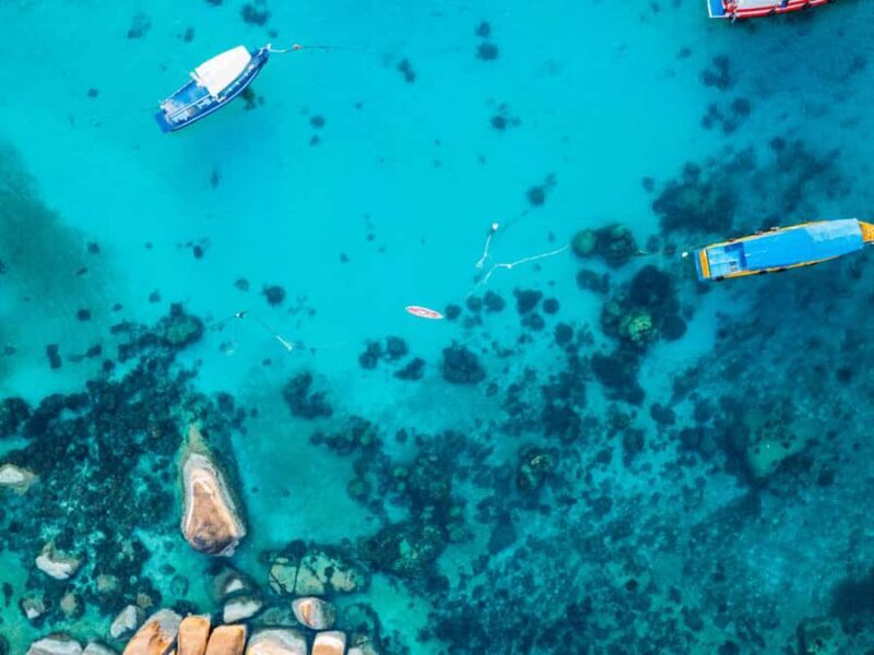 Ko Samui: Unique Ko Tao & Ko Nang Yuan Snorkeling Day Trip - FAQ