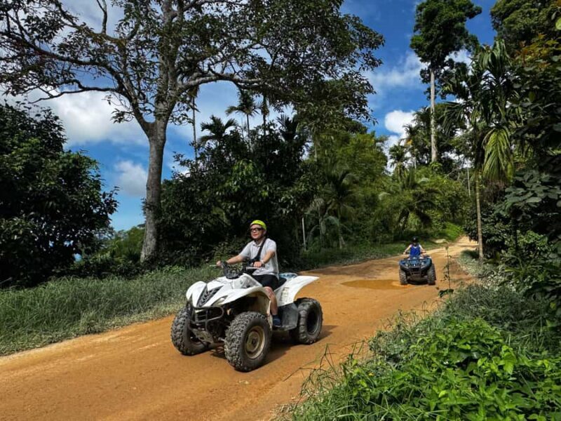 Ko Samui: X Quad Beginner Waterfall ATV Tour (1 Driver) - Why This Tour Is a Great Choice