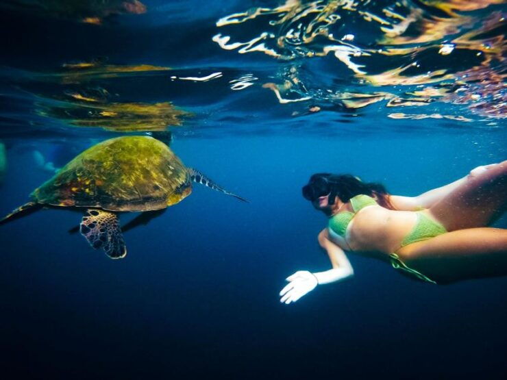 Ko Tao: Late Riser Island Hopping Tour With Lunch and Sunset - Tour Overview