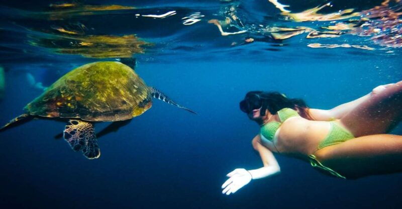 Ko Tao: Late Riser Snorkeling Tour With Lunch and Photos - Itinerary Highlights