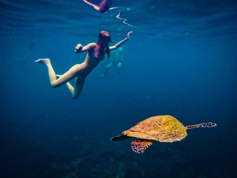 Ko Tao: Late Riser Snorkeling Tour With Lunch and Photos - Snorkeling Locations
