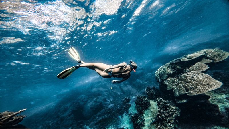 Ko Tao & Nang Yuan Island Full-Day Snorkeling & Island Hopping Tour - Should you book?