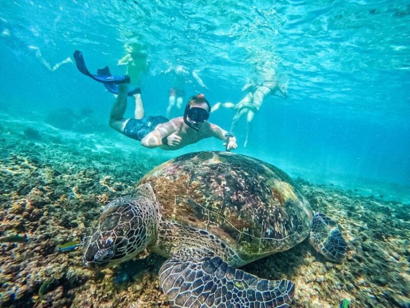 Ko Tao: Tao-Nangyuan Snorkeling Day Trip with Meals & Sunset - Practical Tips