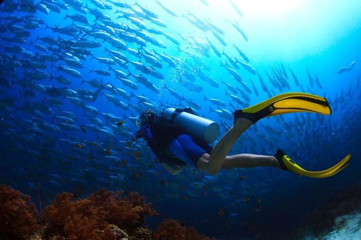 Ko Tao: Try Scuba Diving 1-Day Experience - Learn Scuba Diving Basics
