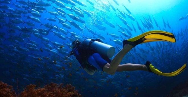 Ko Tao: Try Scuba Diving 1-Day Experience - Booking and Availability