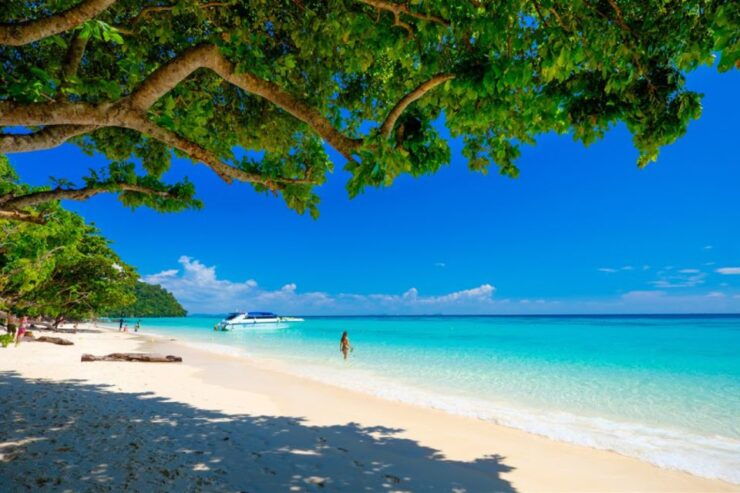 Ko Yao: Private Rok and Haa Island Speedboat Charter - Experience Highlights