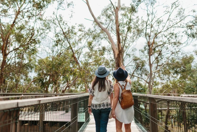 Koala Conservation Reserve Ticket in Phillip Island - At a glance