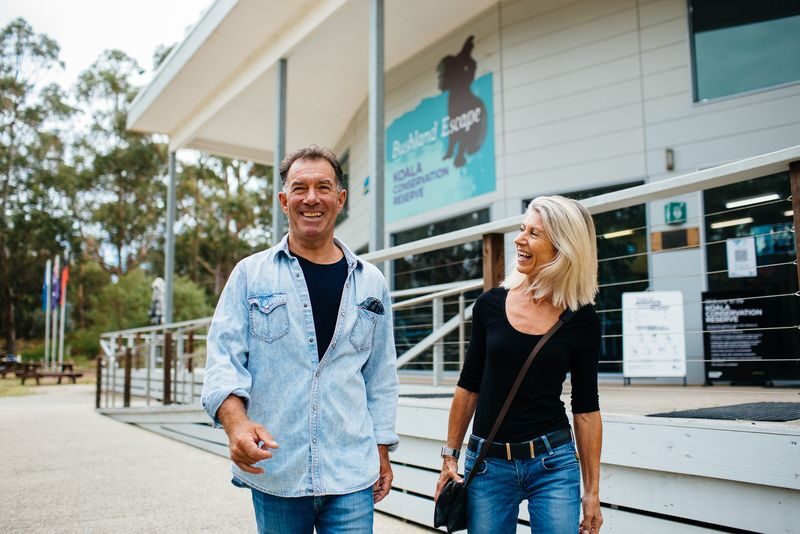 Koala Conservation Reserve Ticket in Phillip Island - Start with the boardwalks and look up