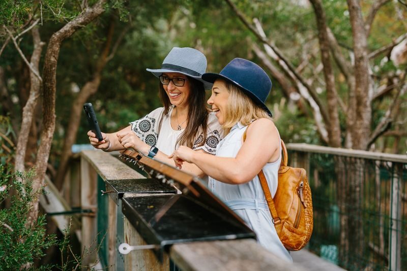 Koala Conservation Reserve Ticket in Phillip Island - Make time for the seed station and play area