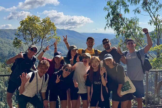 Koalas, 6 Springbrook Waterfalls and Natural Bridge Day Tour - Who Would Love This Tour?