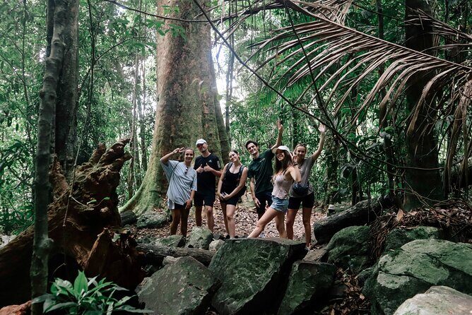 Koalas, 6 Springbrook Waterfalls and Natural Bridge Day Tour - FAQ