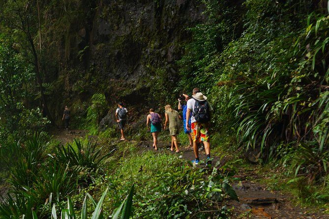 Koalas, Glow Worms & Kangaroos - Nature & Rainforest Walk - A Deep Dive into the Gold Coast’s Wildlife & Rainforest Experience