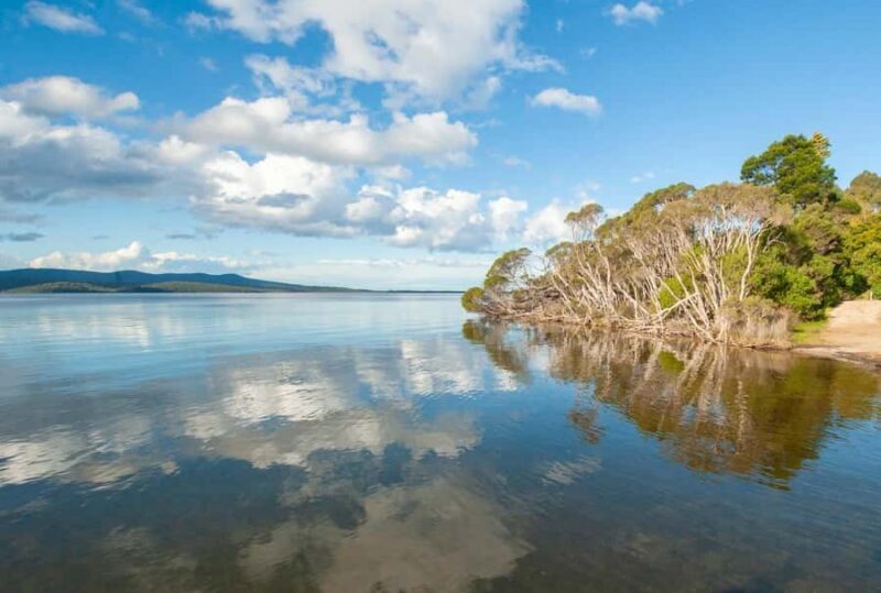 Koalas, Kangaroos and Lyrebirds - A Closer Look at the Experience