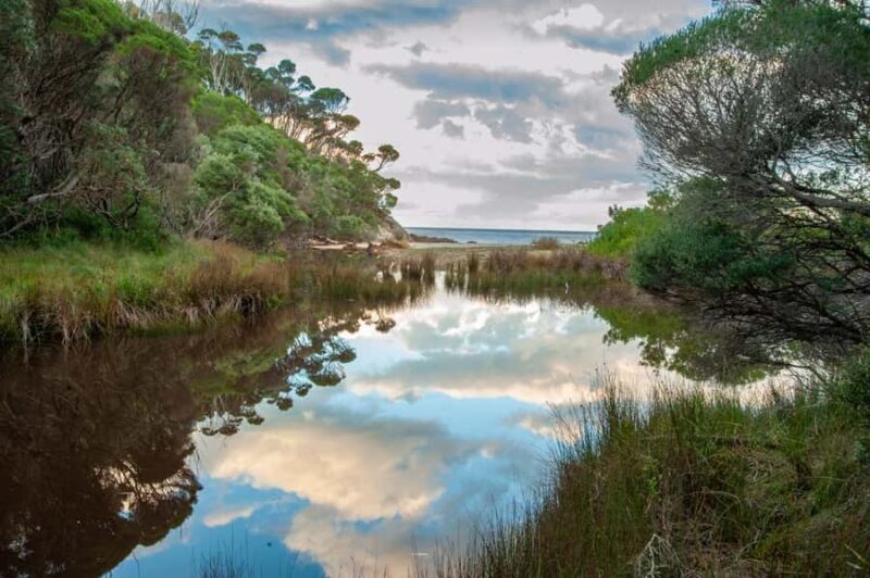 Koalas, Kangaroos and Lyrebirds - Final Thoughts