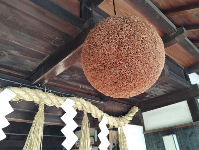 Kobe: 3-Hour Sake Breweries Guided Tour with Tastings - Final Thoughts