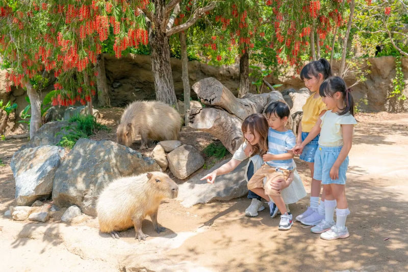 Kobe Animal Kingdom Admission Ticket - Close encounters in a greenhouse setting