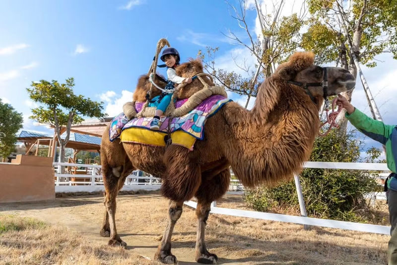 Kobe Animal Kingdom Admission Ticket - Getting there and choosing your ticket
