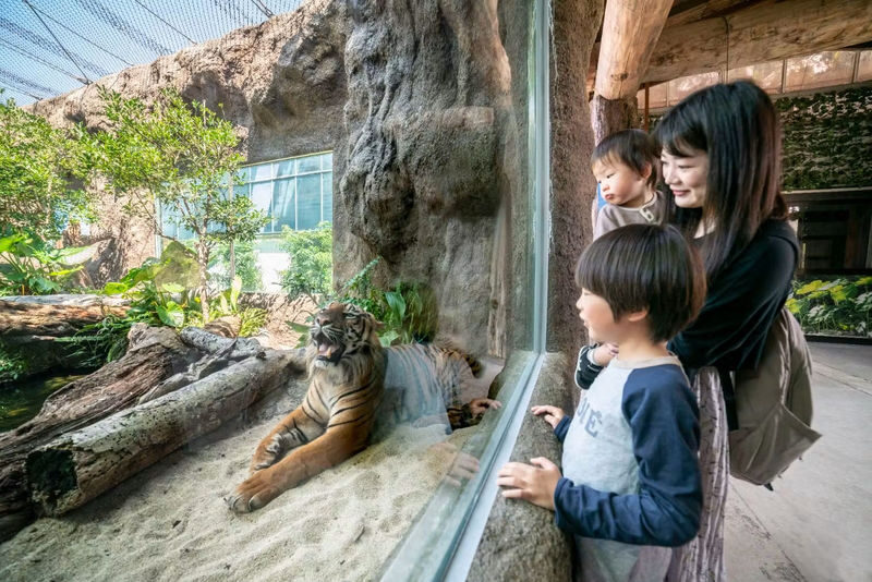 Kobe Animal Kingdom Admission Ticket - Timing your visit and setting expectations