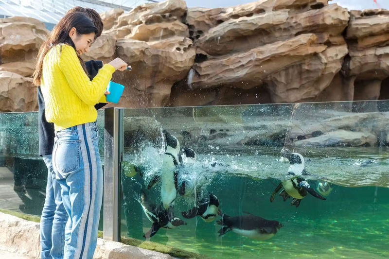 Kobe Animal Kingdom Admission Ticket - Should you book Kobe Animal Kingdom?