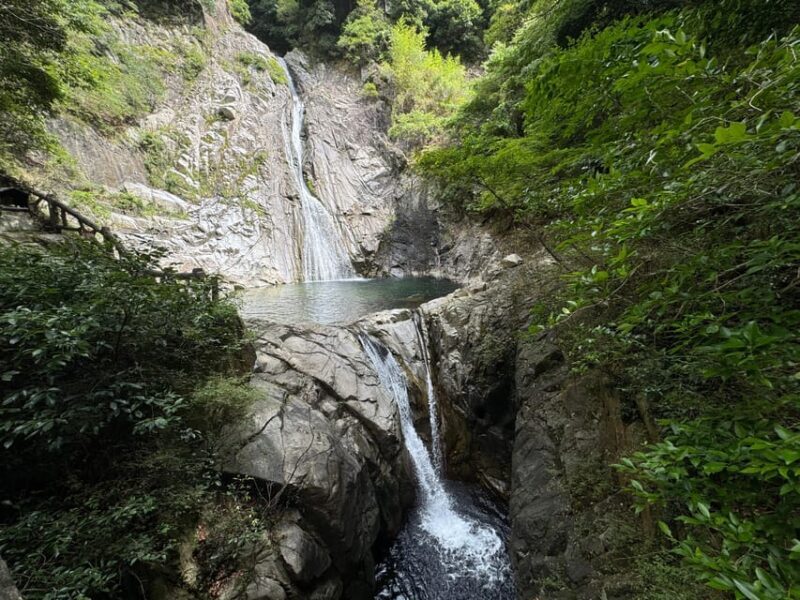 Kobe: Complete Guided Tour of the Mountain Side of Kobe - The Sum Up