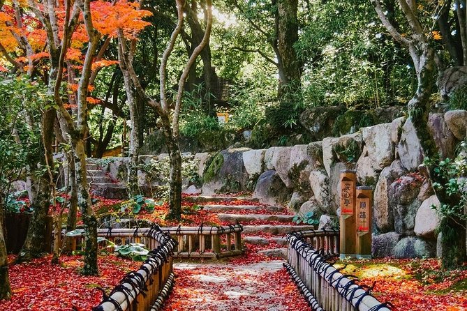 Kobe Custom Full Day Tour - Additional Information