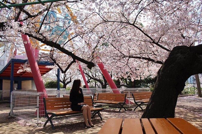 Kobe Explore Top Highlights by Private Walking Tour - The Sum Up: Who Is This Tour Best For?