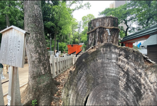 Kobe Guided Tour Including Port Area and Arima Onsen Town - Transportation and Logistics