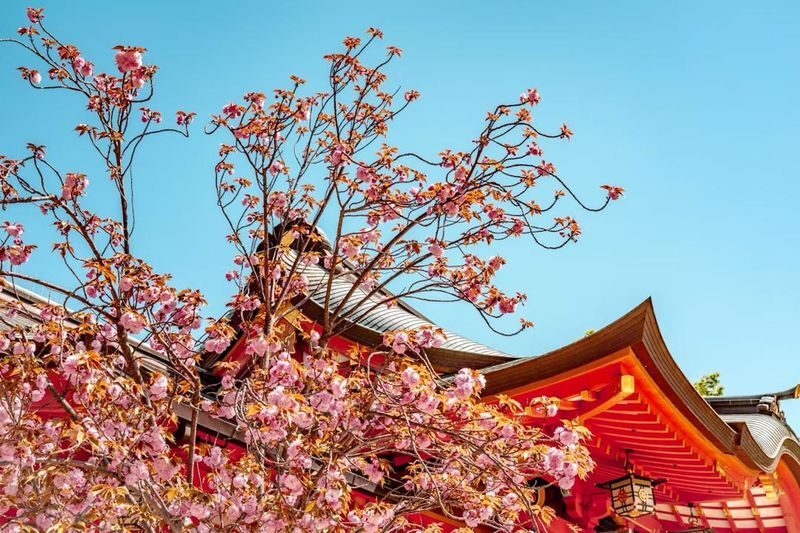 Kobe & Himeji Charter Car 1-Day Trip (from Kyoto/Osaka/Kobe) - Is the private-car price worth it?