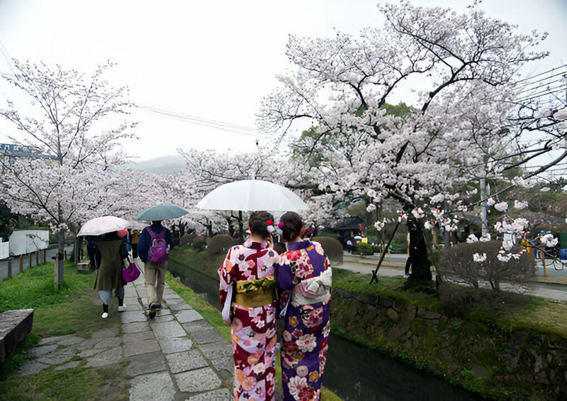 Kobe & Himeji Charter Car 1-Day Trip (from Kyoto/Osaka/Kobe) - Practical details that can save time