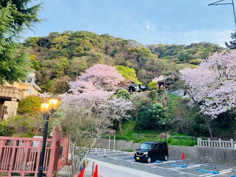 Kobe & Himeji: Private Custom Tour With Driver and vehicle - The Sum Up