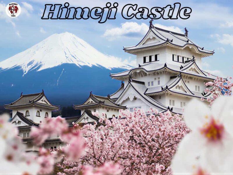Kobe & Himeji: Private Day Tour Castles, Harbor & Culture - Why This Tour Offers Great Value
