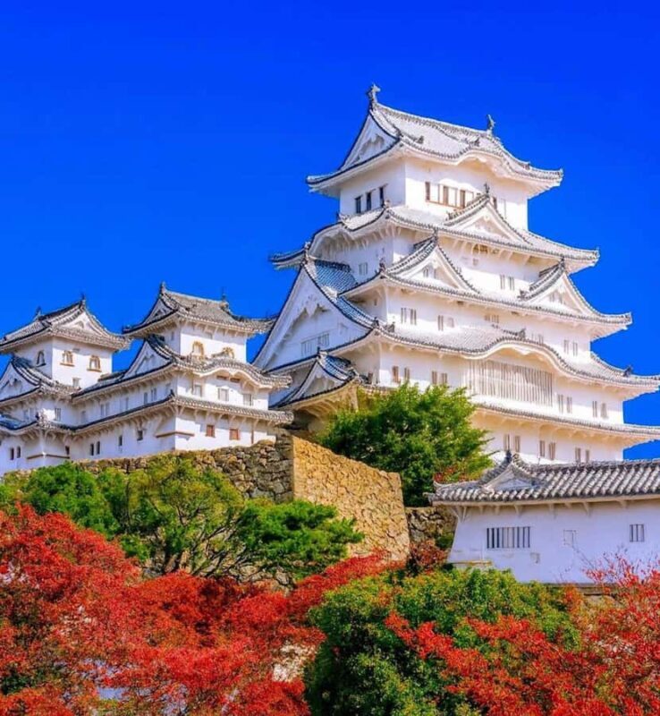 Kobe/Himeji: Private Day Tour with Optional Kobe Beef Lunch - Who Will Love This Tour?