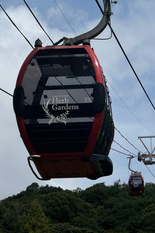 Kobe: Immerse Yourself in the History and Nature of Kobe - Authentic Experiences and Practical Tips