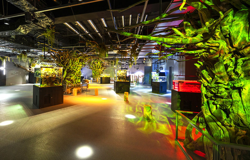 Kobe Mount Maya Night View Day Trip - Who should choose this Kobe day trip?