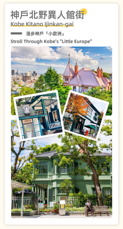 Kobe Mount Rokko and Arima Onsen Day Trip Experience - Guides, pacing and the value of the day