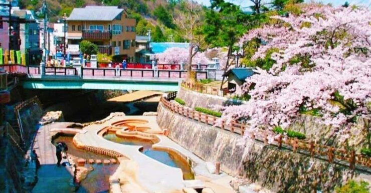 Kobe Mt Rokko View, Kitano Ijinkan, & Arima Onsen Day Trip - Good To Know