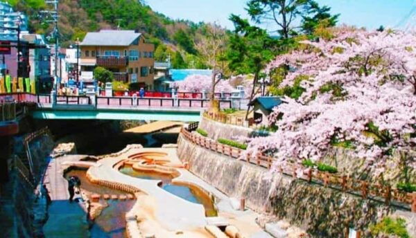 Kobe Mt Rokko View, Kitano Ijinkan, & Arima Onsen Day Trip - Pricing Details