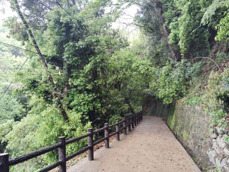 Kobe: Nunobiki Falls Morning Guided Hike - Comparing Similar Experiences