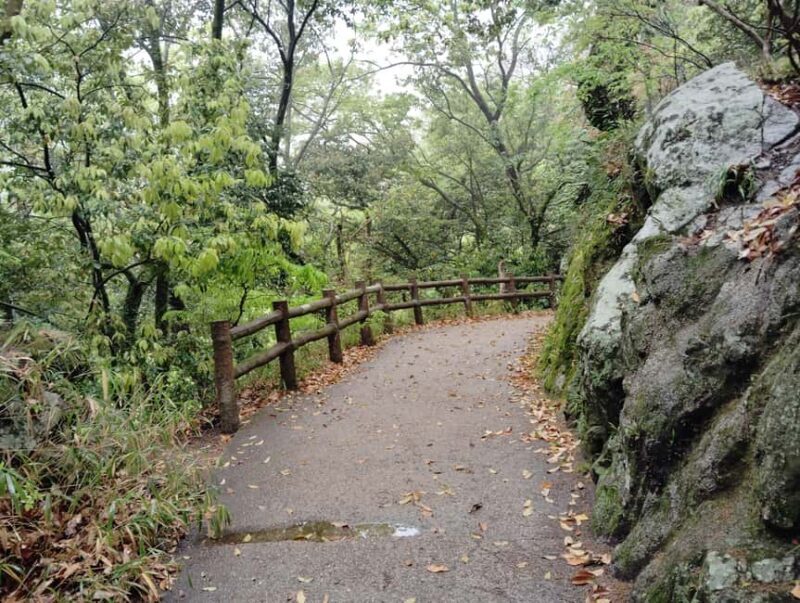 Kobe: Nunobiki Falls Morning Guided Hike - The Sum Up: Who Is This Tour For?